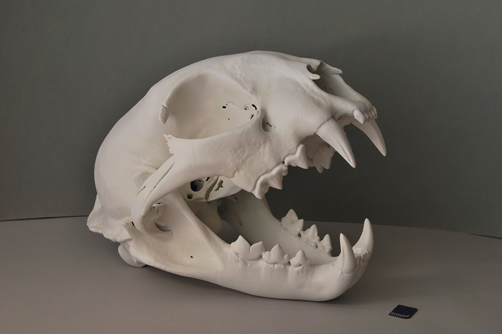 Изготовление скульптуры методом 3д печати